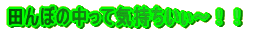 �L���`�I�I