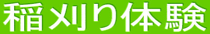 ̌
