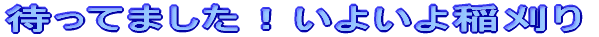 ҂Ă܂I悢
