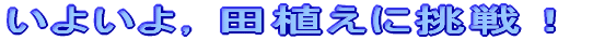 悢CcAɒI