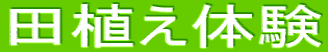 cǍ