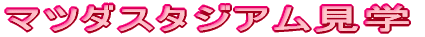 �}�c�_�X�^�W�A�����w